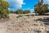 9 Hacienda Caballero Lot 11 - Photo 26