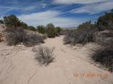 0 Wildass Road - Photo 12