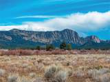 TBD County Road 328 - Photo 7
