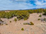 100 Paseo Del Conejo - Photo 22