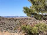 TBD Tierra Grande Lots 24,52,53 - Photo 12