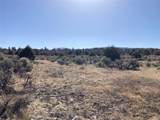 TBD Tierra Grande Lots 24,52,53 - Photo 3