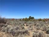 TBD Tierra Grande Lots 24,52,53 - Photo 4
