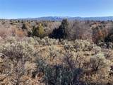 TBD Tierra Grande Lots 39 40 41 42 - Photo 13