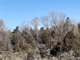 TBD Tierra Grande Lots 39 40 41 42 - Photo 21