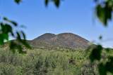227 Rodriguez - Photo 37