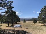 Lot 65 Patron Road - Photo 1