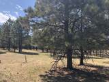 Lot 65 Patron Road - Photo 10