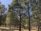 Lot 65 Patron Road - Photo 11