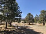 Lot 65 Patron Road - Photo 12