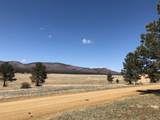 Lot 65 Patron Road - Photo 4