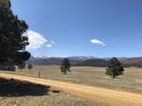 Lot 65 Patron Road - Photo 6