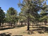 Lot 65 Patron Road - Photo 7