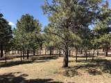 Lot 65 Patron Road - Photo 8