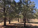 Lot 65 Patron Road - Photo 9
