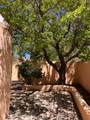 951 Camino Santander - Photo 78