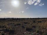 160 Acres Nm 104 - Photo 50
