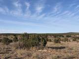 160 Acres Nm 104 - Photo 55