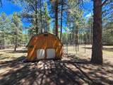93 Private Drive 1754 - Photo 48
