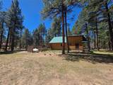 93 Private Drive 1754 - Photo 49