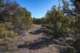 Lot 79 Cerro Escondido - Photo 10