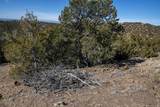 Lot 79 Cerro Escondido - Photo 22