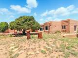31 AB Hondo Trail - Photo 53