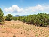 31 AB Hondo Trail - Photo 54