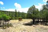 72 Buena Vista Dr - Photo 10