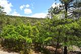 72 Buena Vista Dr - Photo 12