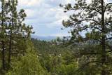 72 Buena Vista Dr - Photo 39