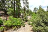 72 Buena Vista Dr - Photo 41
