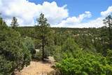 72 Buena Vista Dr - Photo 42