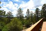 72 Buena Vista Dr - Photo 45
