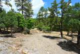 72 Buena Vista Dr - Photo 7