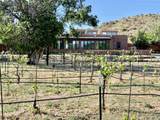 442 Los Pinos Road - Photo 44