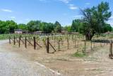 442 Los Pinos Road - Photo 70