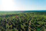 4221 Palo Amarillo Road - Photo 44