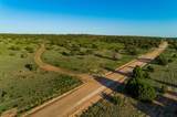4221 Palo Amarillo Road - Photo 45