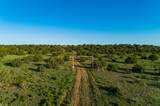 4221 Palo Amarillo Road - Photo 48