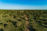 4221 Palo Amarillo Road - Photo 53