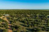 4221 Palo Amarillo Road - Photo 57