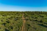 4221 Palo Amarillo Road - Photo 59