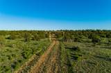 4221 Palo Amarillo Road - Photo 60