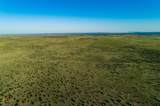 4221 Palo Amarillo Road - Photo 64