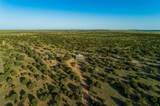 4221 Palo Amarillo Road - Photo 67
