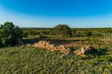 4221 Palo Amarillo Road - Photo 73