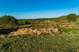 4221 Palo Amarillo Road - Photo 74