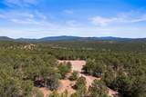 19 The Cliffs View - Lot 13 - Photo 9