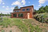 51 Old Forest Trail - Photo 16